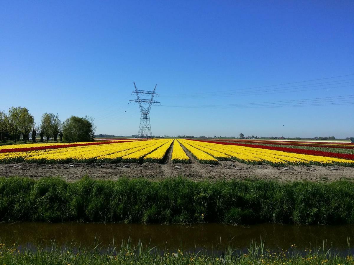 Tinyhouse Natuurhuisje Met Veranda Bij De Molen Tussen Alkmaar En Hoorn Oterleek Esterno foto